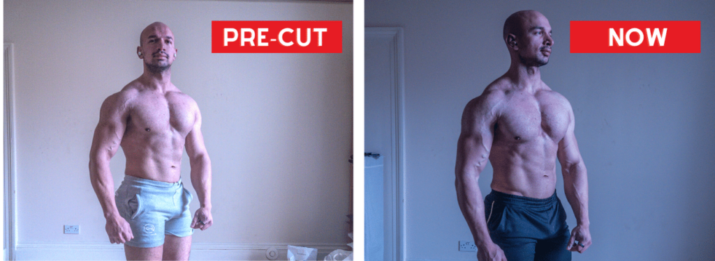 carnivore minicut results
