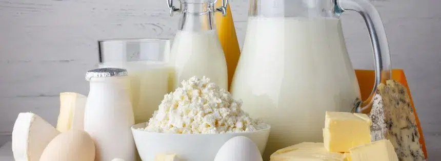 benefits of dairy on carnivore