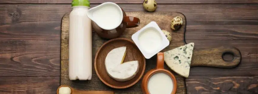 how to include dairy on carnivore