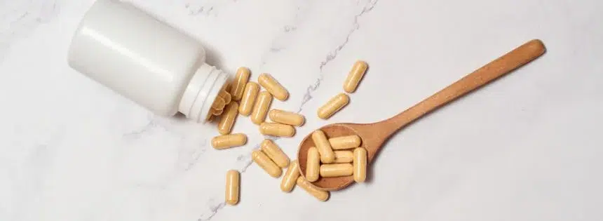 spore probiotic product recommendation