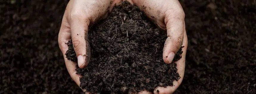 benefits of soil based probiotics