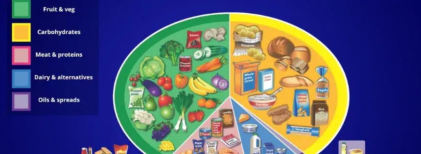 eatwell guide issues