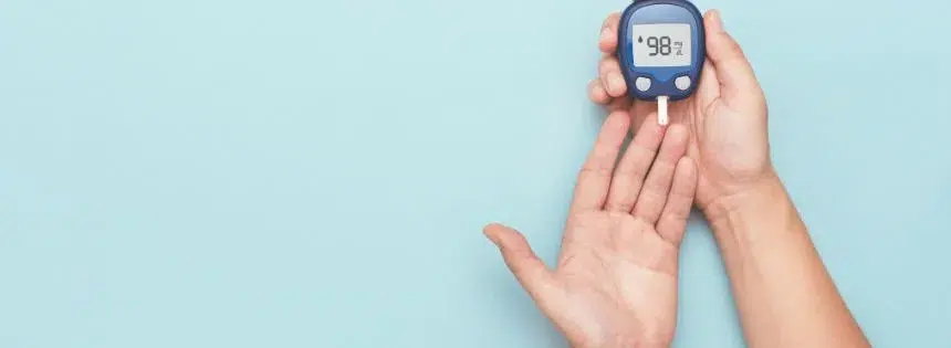 carnivore diabetes