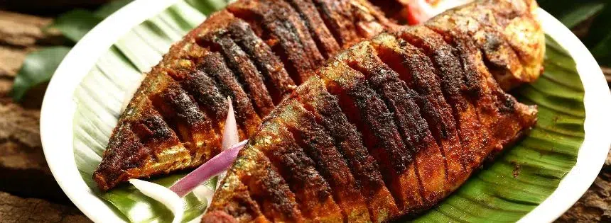 carnivore diet tmao