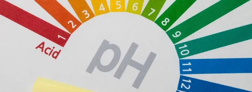 is carnivore too acidic