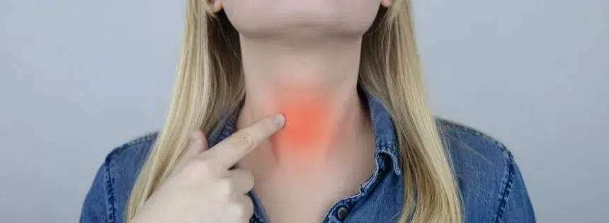 does carnivore affect the thyroid