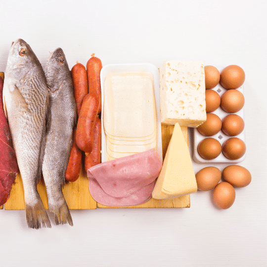 is carnivore in ketosis