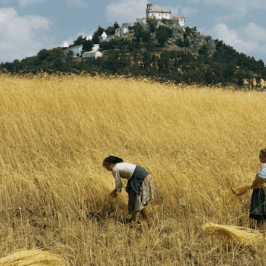 agricultural revolution mistakes