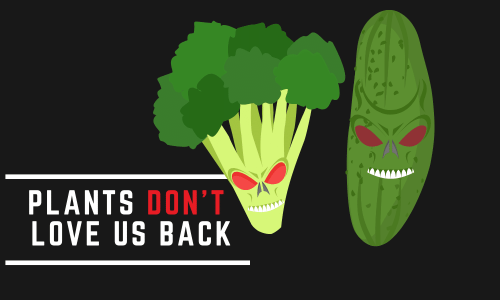 Copy-of-Copy-of-Copy-of-Copy-of-Copy-of-Rustic-Pizza-Facebook-Cover-16