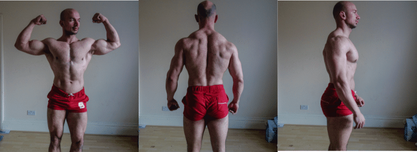 carnivore bulk results