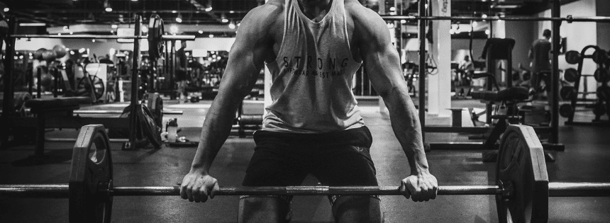 bulking on carnivore