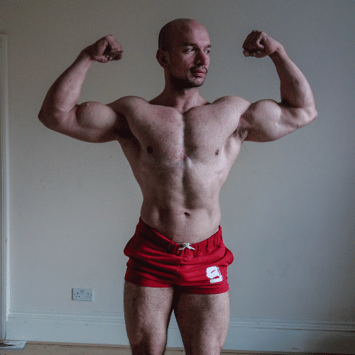 carnivore muscle gain results