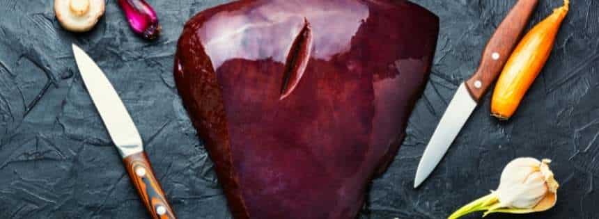 liver on carnivore diet