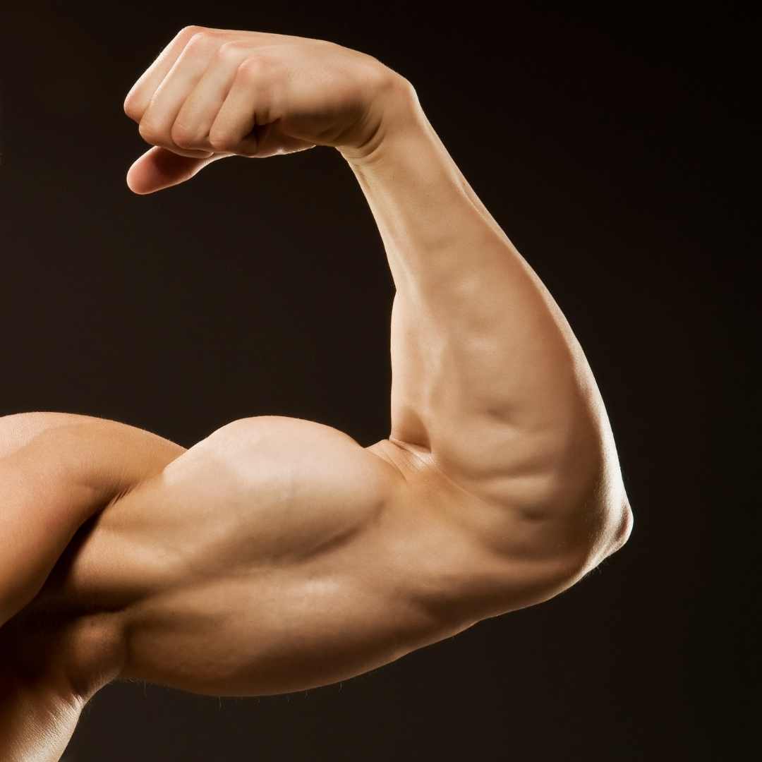 best way to build muscle