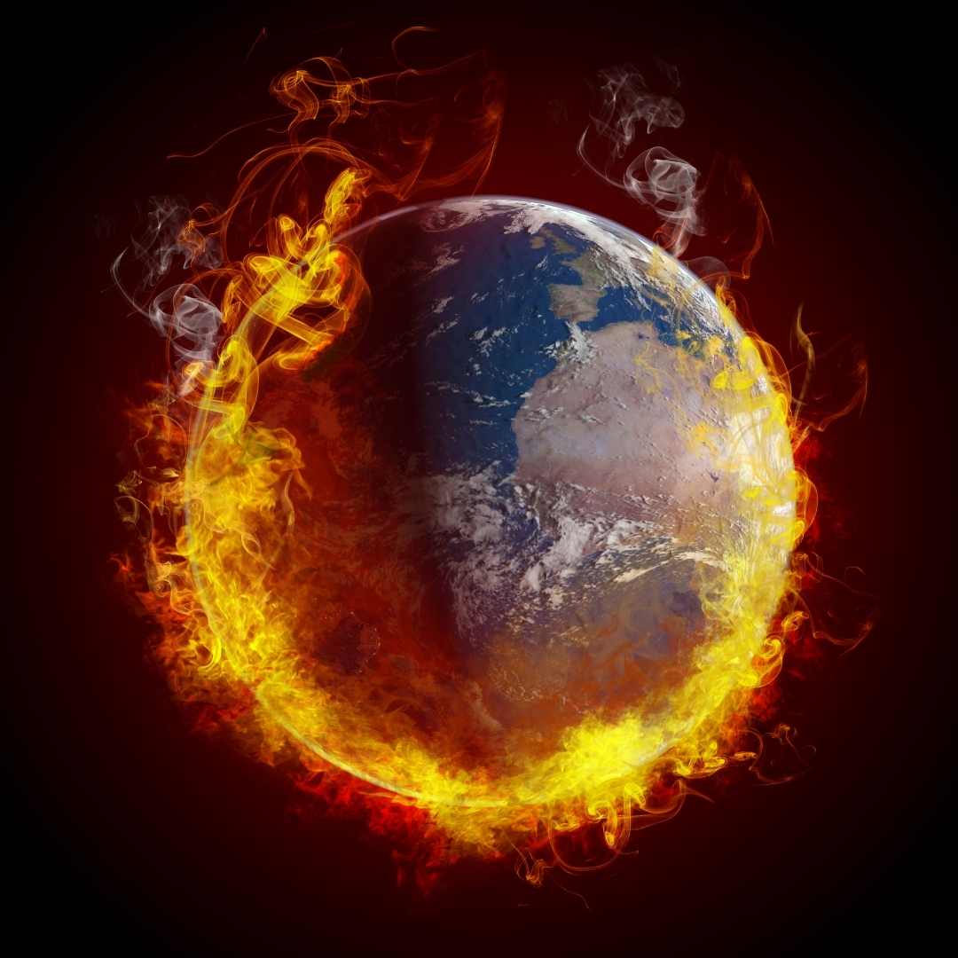 cows aren't causing global warming