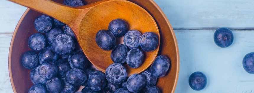 antioxidants carnivore