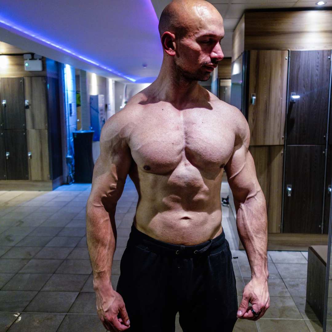 carnivore muscle building tips