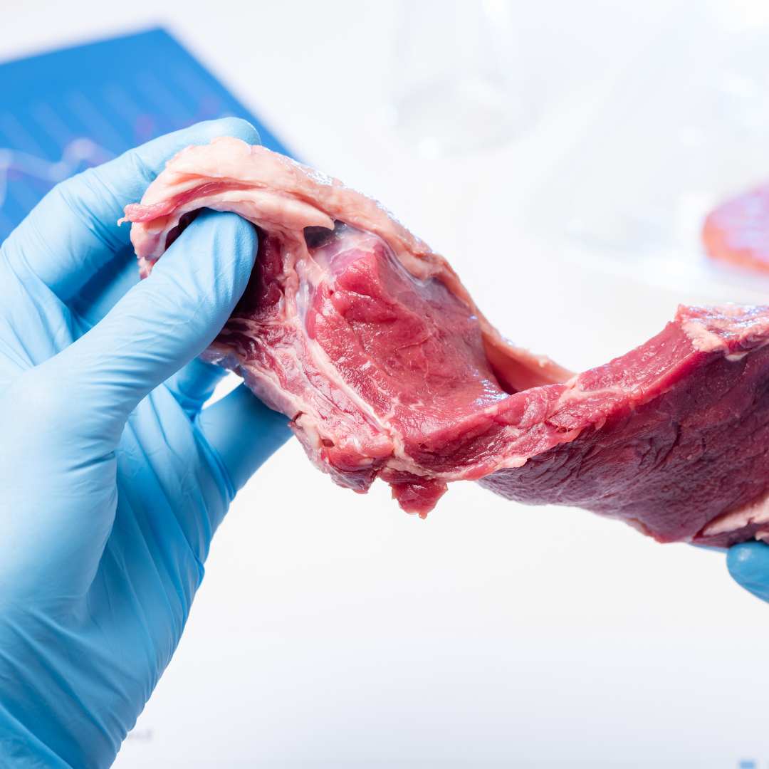 scientific evidence for carnivore diet