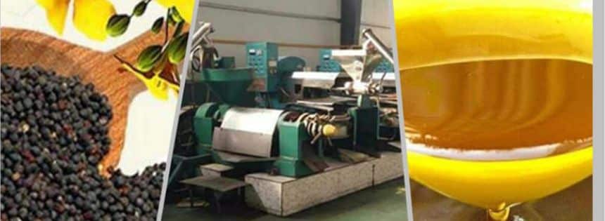 how seed oil is extracted from seeds industrial process