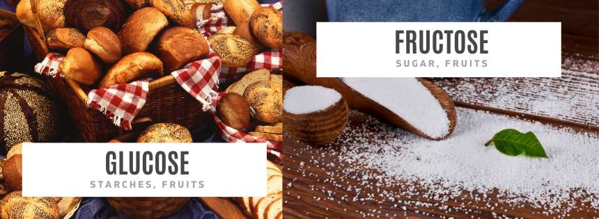 glucose vs fructose