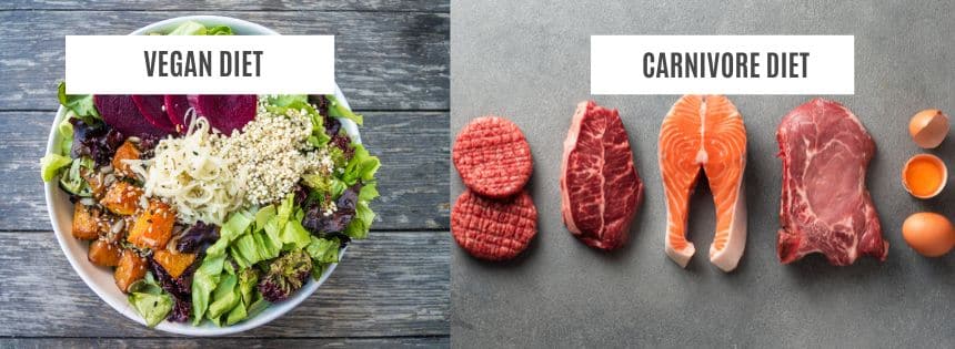 carnivore vs vegan diet