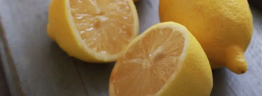 scurvy on carnivore