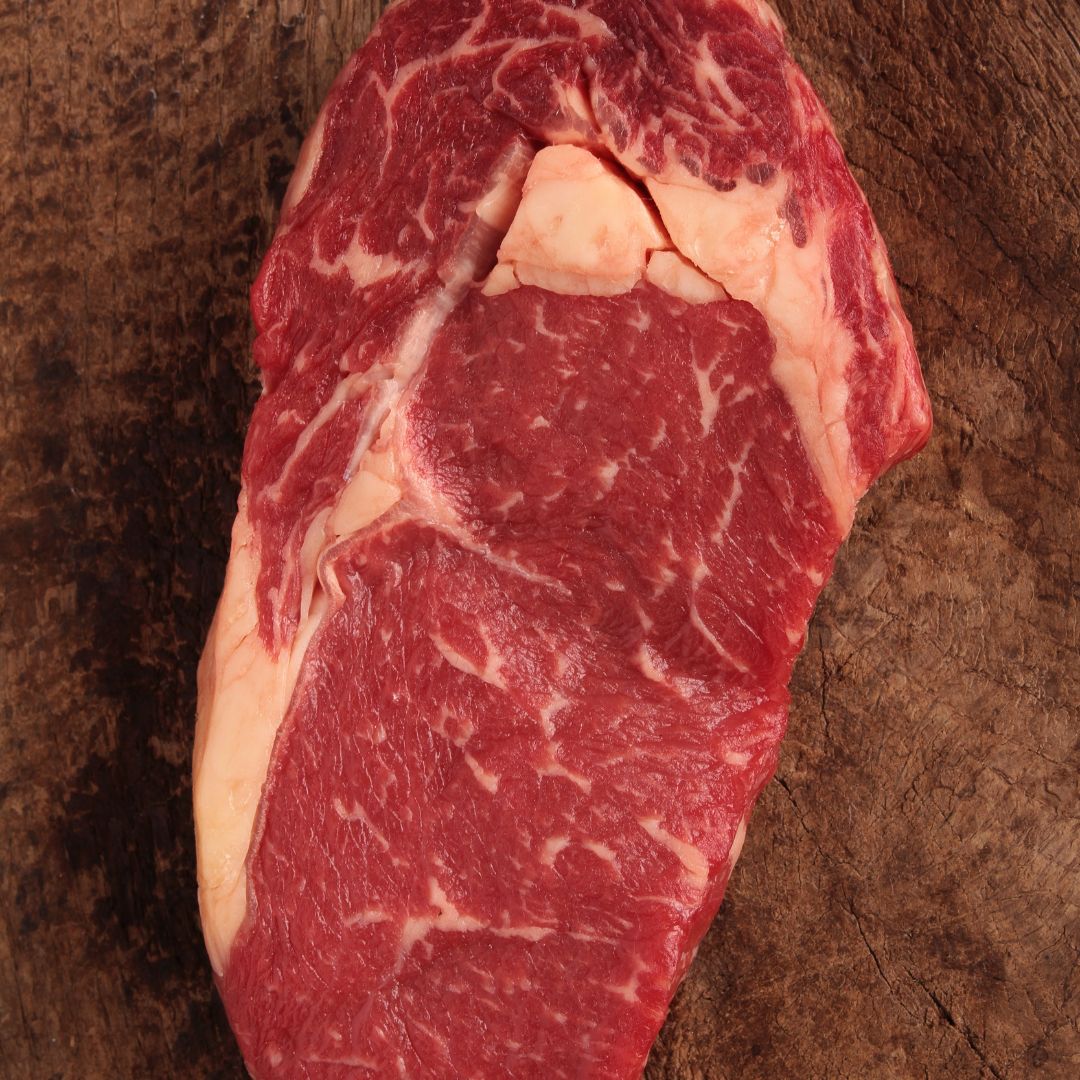 what to expect on carnivore