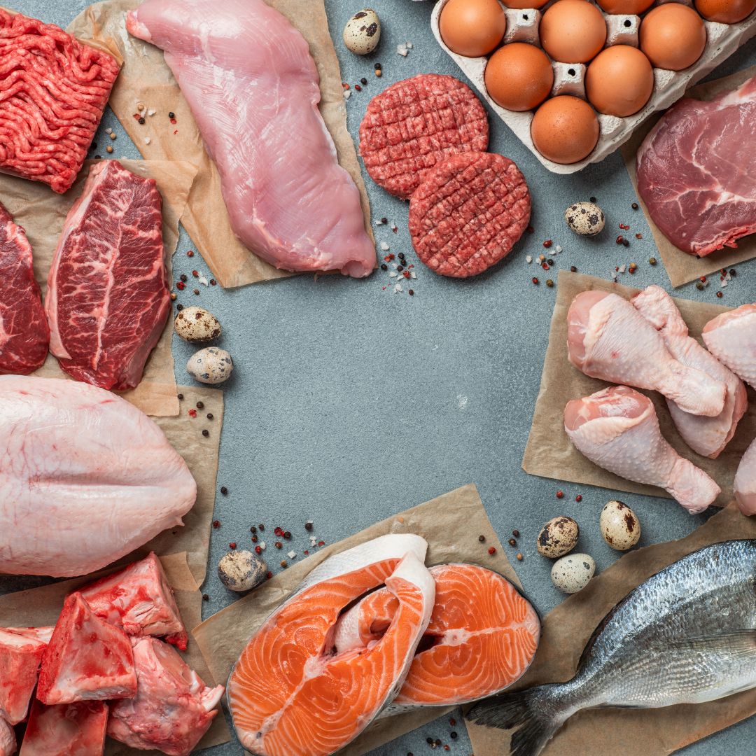 An overhead spread of raw carnivore foods: beef, chicken, eggs, salmon and white fish